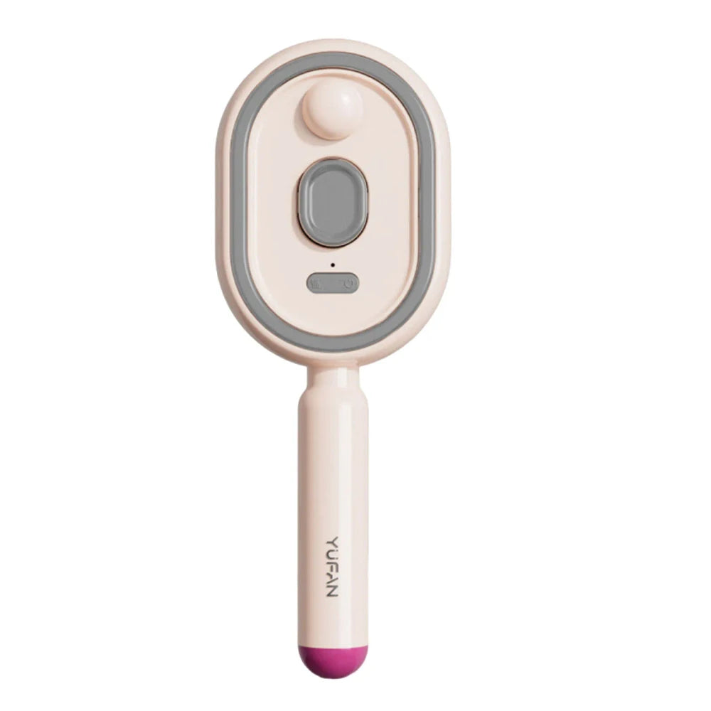 Rechargeable Electric Steam Hair Brush