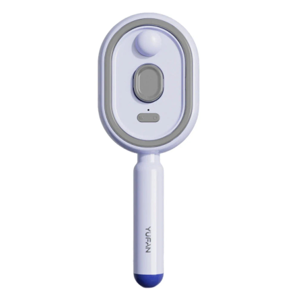 Rechargeable Electric Steam Hair Brush